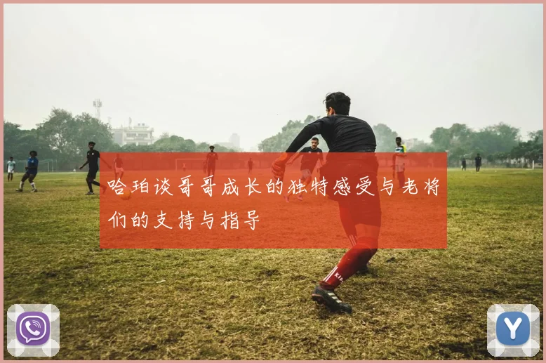 哈珀谈哥哥成长的独特感受与老将们的支持与指导